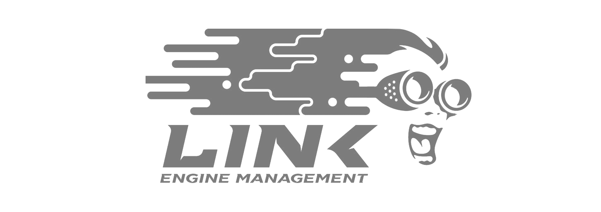 Link